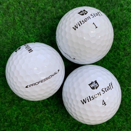 Wilson_Staff_Professional